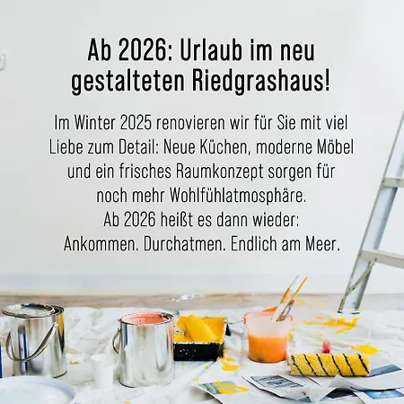 Riedgrashaus Riedgras 5